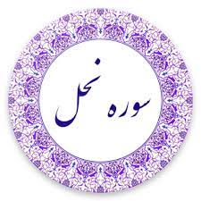 ✨☀️امام شناسی در قرآن- آیه ۸۳ – سوره نحل☀️✨