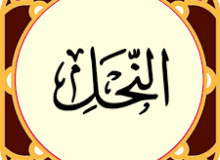 ✨☀️امام شناسی در قرآن ☀️✨ آیه ی ۴۳ سوره ی نحل