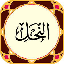 ✨☀️امام شناسی در قرآن ☀️✨ آیه ی ۴۳ سوره ی نحل