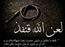 لعن الله قنفذ…