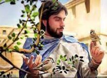 🔸 حضرت سلیمان و گنجشک و اینکه دل انسان فقط جای یک نفر است…